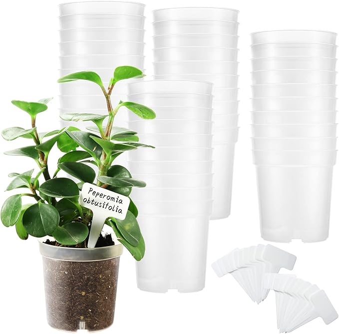 40 Pcs 4.3 Inch Clear Nursery Pots for Plants, Transparent Plastic Plant Pots with Drain Holes, Seed Starter Planter Container with 20 Plant Labels for Flowers Vegetable Seedlings