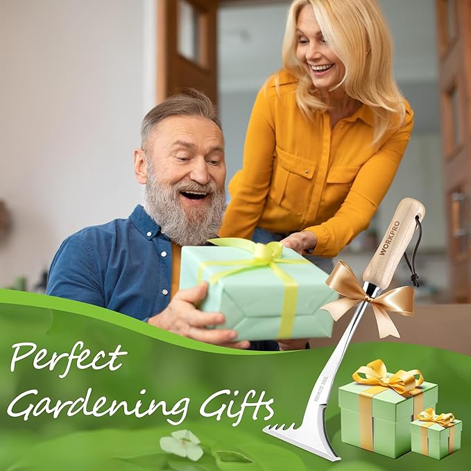 WORKPRO Crack Weeder, 13.5" Stainless Steel Crevice Weeding Tool with Wooden Handle, L-Shaped Side-Walk Weed Puller Spatula, for Garden Lawn Yard Patio Terrace Paving Garden Tool