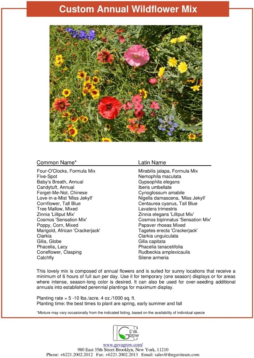 Wildflower Seed Shaker – Annual Mix by GevaGrow | 17 Variety Flower Seeds for Planting in Pots & Outdoor Gardens, Bulk 300,000+ Seeds - 1 Pound Tub