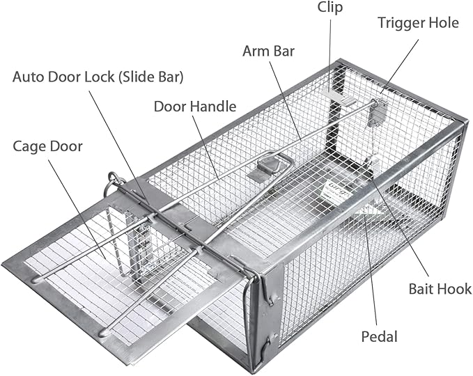Gingbau Rat Trap Humane Live Mouse Chipmunk Trap Cage – Medium, 12.3" x 6.6" x 5.3"