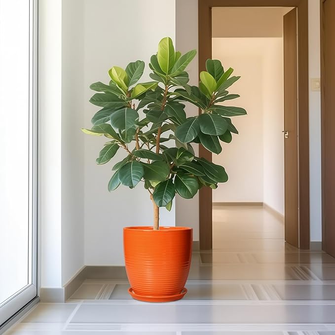 12 Inch Pots for Plants - Ceramic Plant Pots with Drainage Hole and Saucer, Modern Planter for Indoor Outdoor, Round Flower Planters, Porch Home Garden Decor, Gifts for Women, Orange