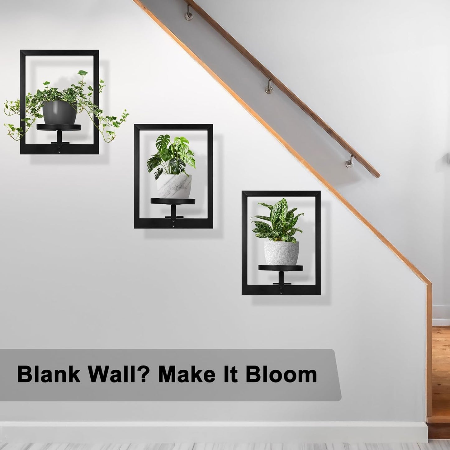 Heavy-Duty Wall Planters for Indoor Plants, Modern Metal Hanging Plant Holders, Picture Frame Wall Plant Shelves for Living Room, Balcony, Patio, Window Garden Décor, 3-Pack