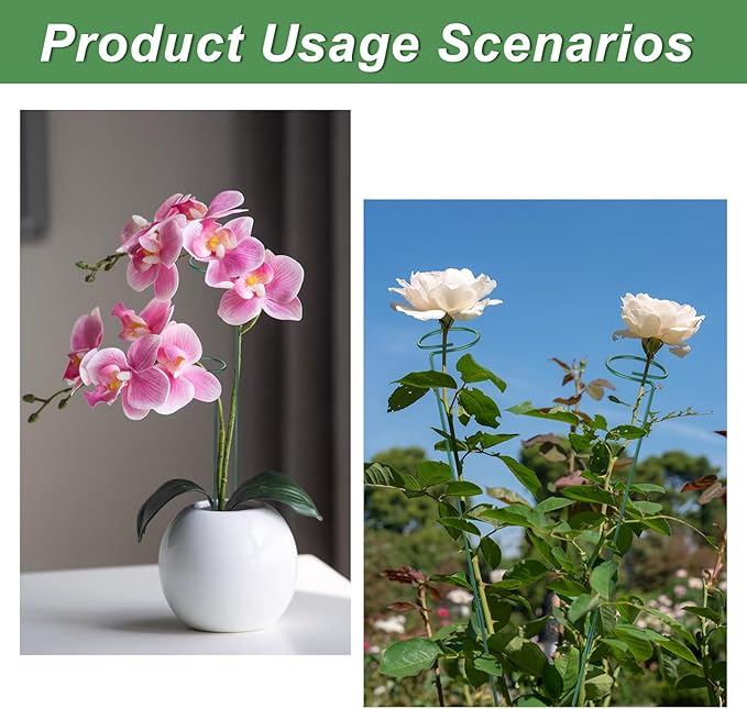 6 Pack (DIY) Plant Support Stakes, Three Sizes (12 or 24 or 36 inch) Plant Support Rings for Outdoor or Indoor, Garden Plant Stakes for Flowers Vegetable Roses Daffodils Tomatoes