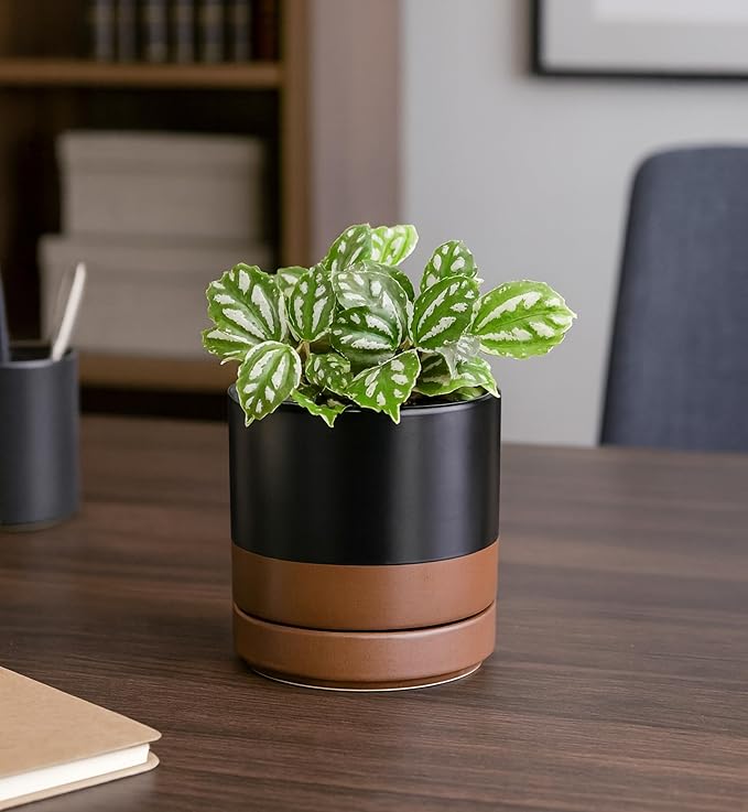 D'vine Dev 4.7 Inch & 6.5 Inch Ceramic Planter Pots for Plants with Drainage Hole and Saucer, Small Plant Pots Set, Black/Speckled Tan, 94-G-S-7