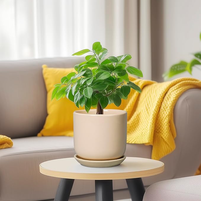 Ceramic Flower Pot 5 Inch - Round Succulent Planter for Indoor Plants with Drainage Hole and Saucer, Patio Room House Office Home Decor, Yellow