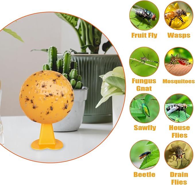 6 PCS Fly Trap Indoor Fly Sticky Ball, Hanging Fly Trap Outdoor Bug Catcher Wasp Gnat Trap, Flying Insects Ball for House Plants Kitchen Drain Yard Garden