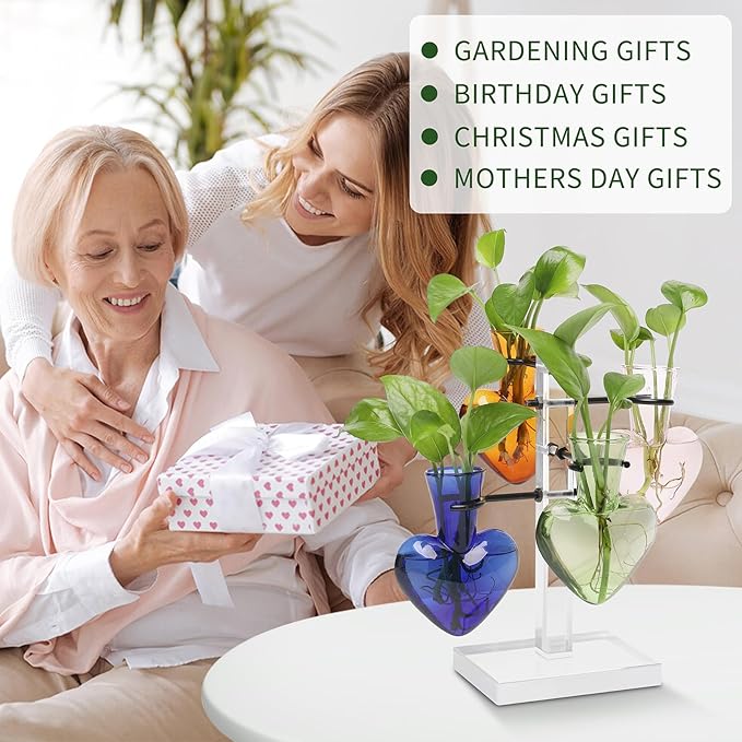 Plants Propagation Stations Plant Terrarium Kit Gift for Women Birthday Glass Planters for Indoor Plants Home Office Decor Acrylic Plant Accessories - 4 Love Hear Vase