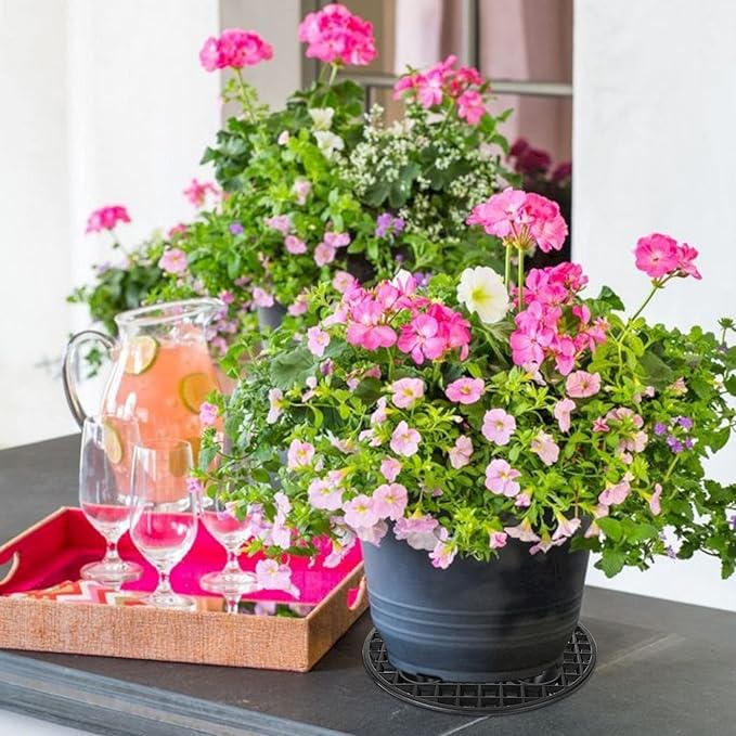 QTLCOHD 24Pcs Plastic Plant Stands 8 Inch Black Plant Level Pot Elevator Patio & Deck Floor Protector for Indoor Outdoor Garden Flower Potted Plants