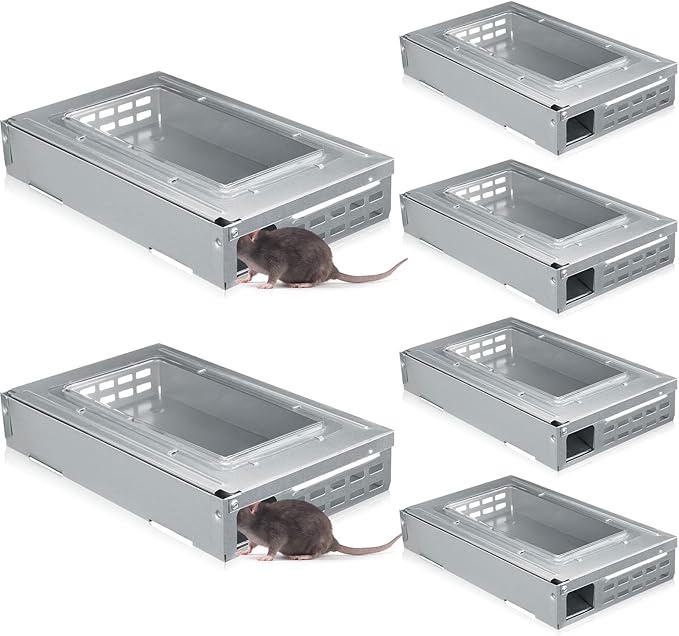 Qualirey 6 Pack Multi Catch Mice Trap Clear Top Humanized Mouse Trap Rodent for Indoor Outdoor Rat Control Pet and Security (Silver Color)