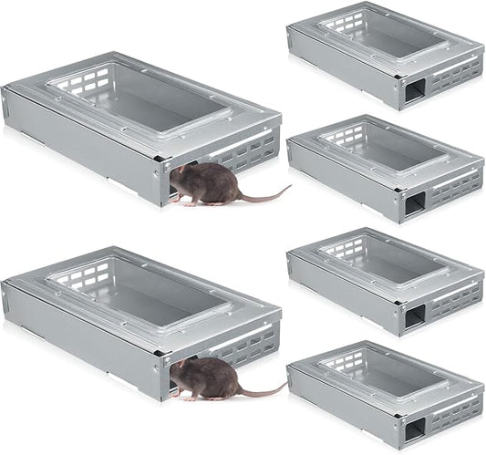 Qualirey 6 Pack Multi Catch Mice Trap Clear Top Humanized Mouse Trap Rodent for Indoor Outdoor Rat Control Pet and Security (Silver Color)