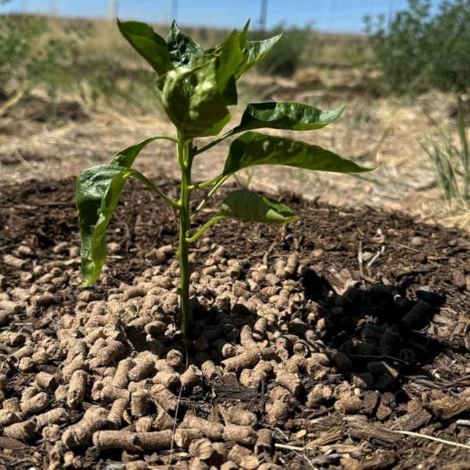 Natural Soil Amendment for Outdoor Gardens, Raised Beds & Indoor Plants - Organic Soil Additive Fertilizer for Plant Growth and Moisture Retention 5 Lbs