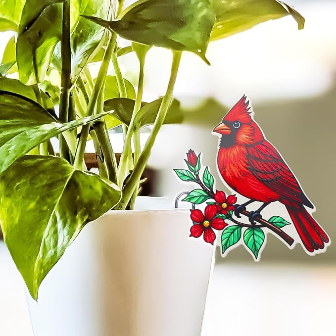 Hanging Planters for Indoor Outdoor Plants-Planters Hanging Plant Red Cardinal Bird Decor Garden Decor Plant Accessories Farmhouse Decor-Gifts Ideas for Mom