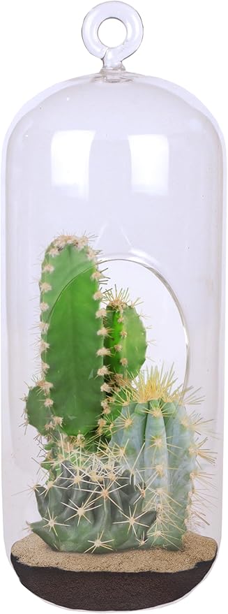 Cactus Terrarium Grow Kit by Unique Gardener - DIY Indoor Hanging or Standing Garden Starter Set with Complete Supplies, Easy to Grow Terrariums for Home Decor!
