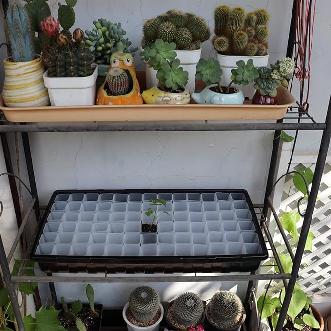 BangQiao 300 Pack 1.55 Inch Tiny Clear Plastic Square Nursery and Seedling Pot, Mini Transplant Seed Starter Planter with Drain Hole for Germination, Herb, Succulent