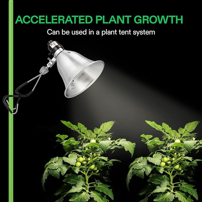 VIVOSUN 2-Pack Clamp Lamp Light with Detachable 5.5 Inch Aluminum Reflector up to 60W E26 Socket (No Bulb Included), 6 Feet Cord, UL Listed