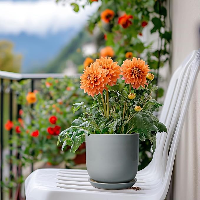 Ceramic Plant Pot 5 Inch - Modern Succulent Planter for Outdoor Indoor Plants with Drainage Hole and Saucer, Modern Home Decor, Gray