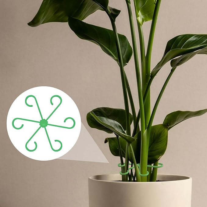 8PCS Plant Stem Support, 4 Sizes Climbing Houseplant Stem Holders, Plastic Reusable Flower Trellis Stem Hook Plant Care Growth Accessories for Flower Plants Indoor Outdoor