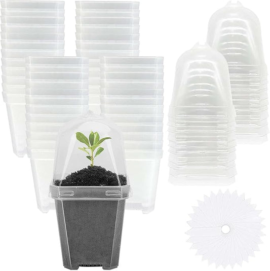 EBaokuup 50 Pcs Clear Plant Nursery Pots with Humidity Dome-3" Reusable Plastic Gardening Pot with Labels-Small Seed Starting Pots for Seedlings,Vegetables,Succulents,Cuttings