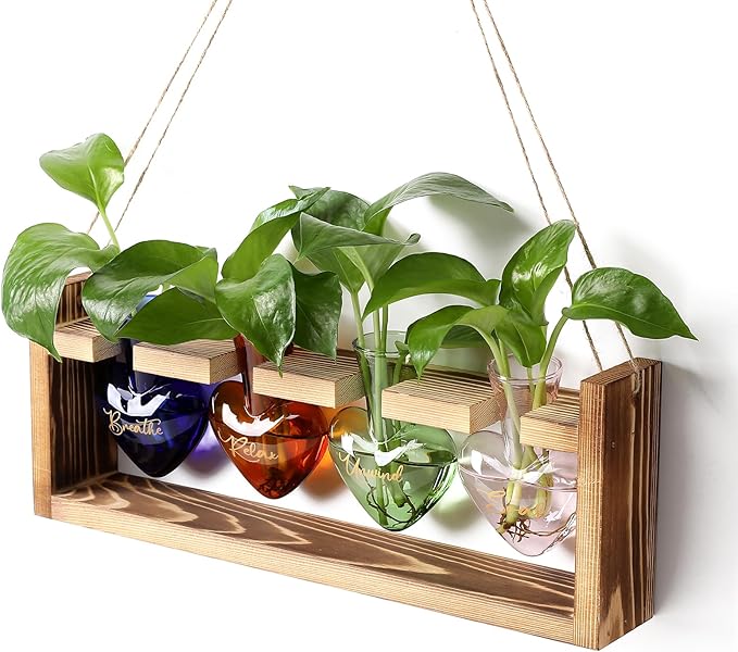 Plants Propagation Stations Plant Terrarium Kit for Bathroom Glass Planters for Indoor Plants Bathroom Decor Accessories - Relax Soak Unwind Breathe