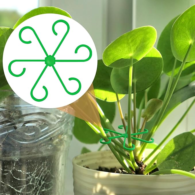 8PCS Plant Stem Support, 4 Sizes Climbing Houseplant Stem Holders, Plastic Reusable Flower Trellis Stem Hook Plant Care Growth Accessories for Flower Plants Indoor Outdoor- Green, Clear