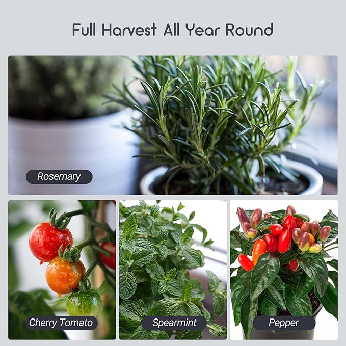 LUXBIRD 2 Pack 10"x 20.75" Seedling Heat Mat and Digital Thermostat Controller Combo Set (120v US Plug)