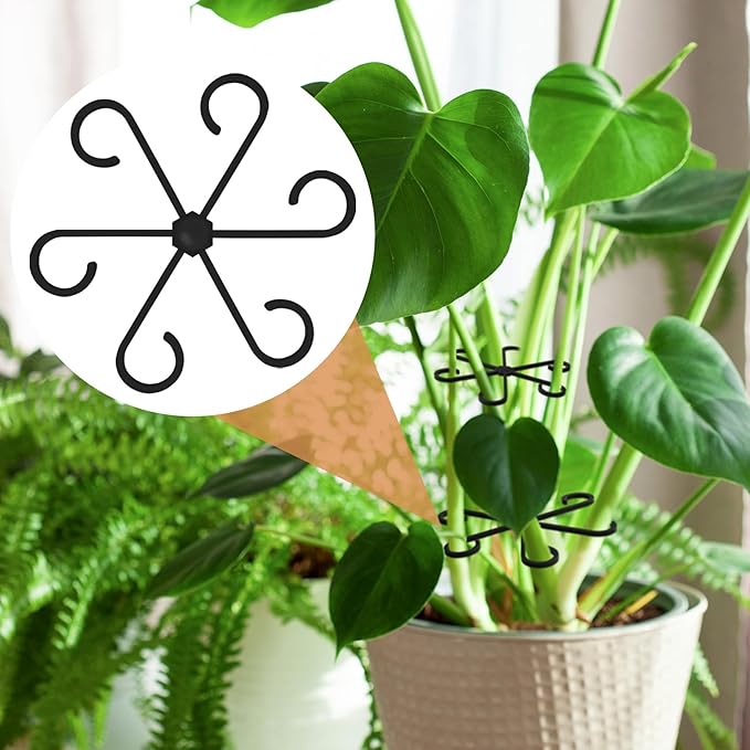 6PCS Plant Stem Support, 3 Sizes Climbing Houseplant Stem Holder, Plastic Reusable Flower Trellis Stem Hook Plant Care Growth Accessories for Flower Plants Indoor Outdoor - Black, 5.28"/4.55"/3"