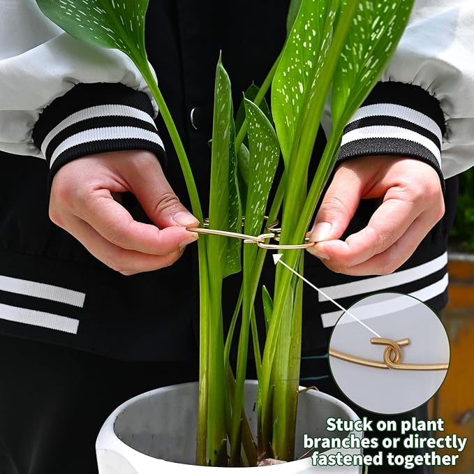 5Pcs Monstera Stem Support for Indoor Plants - 4.13 * 2.95 in- Durable Plant Support Stake Holder & Adjustable Clamp Kit for Monstera and Climbing Plants for Gardening Enthusiasts