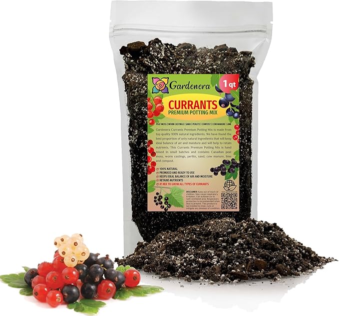 Premium Currant Plant Potting Soil Mix - Optimal Nutrient-Rich Blend for Thriving and Juicy Currants - 1 Quart
