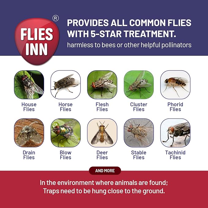 EZ Fly Cage Ranch Fly Trap with 2 Flies Inn Fly Attractant Bait Refill, Low Odor, Reusable, Built to Last for Years