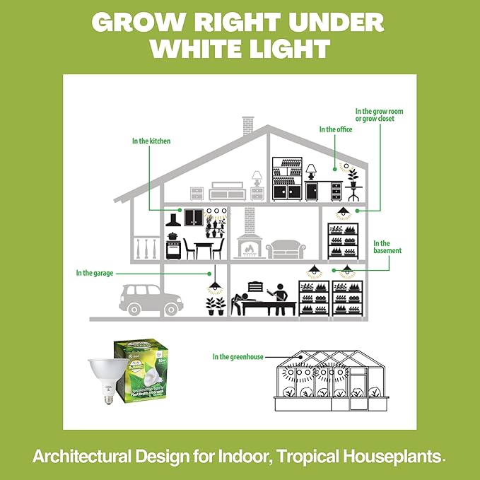 NorbBOTANIC Premium LED Grow Light, Full Spectrum PAR38 Bulb, 1350 Lumens, Energy-Efficient, Sun-Spectrum Mimics Sunlight, White Light, Perfect for Indoor Plants, Herbs, Tropical Plants, 16W 30 Degree