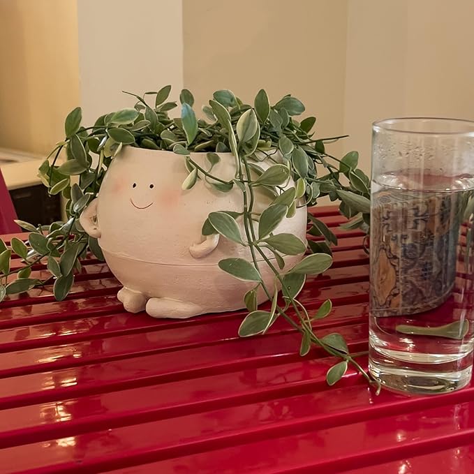 Self Watering Plant Pot 4 Inch Cute Smile Face Planter Pot for Indoor Outdoor Plants with Drainage Hole Unique Flower Pots for Succulent/Herbs/Violets