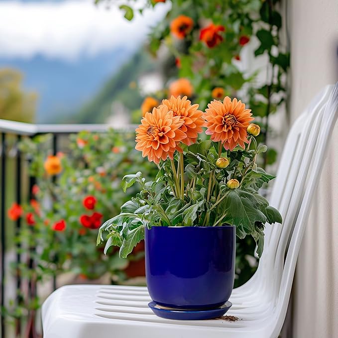 Succulent Pot 5 Inch - Modern Ceramic Planter for Indoor Plants with Drainage Hole and Saucer, Office Home Room Patio Decor, Blue