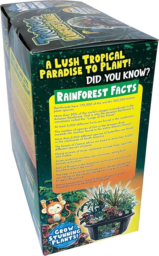 Toys by Biosphere Terrarium Starter Kit with Complete Supplies to Create Your Own Jungle! Indoor Plants for Home Displays and Gardens (Tropical Rainforest Jungle)