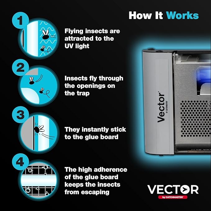 Catchmaster Vector Plasma One Trap, Compact UV Light Fly Traps for Home, Gnat Traps for House Indoor, Shatterproof Bulbs, UV Lamp Insect Killer, Silent Bug Light for Deli, Bars, Kitchen & Trash Rooms