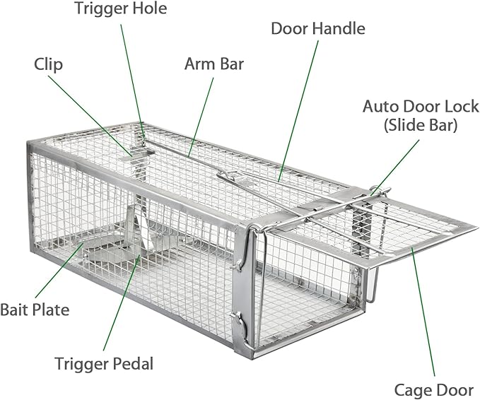 2-Pack Chipmunk Traps Humane Live Mouse Rat Cage Traps for Indoor and Outdoor Use (Silver)
