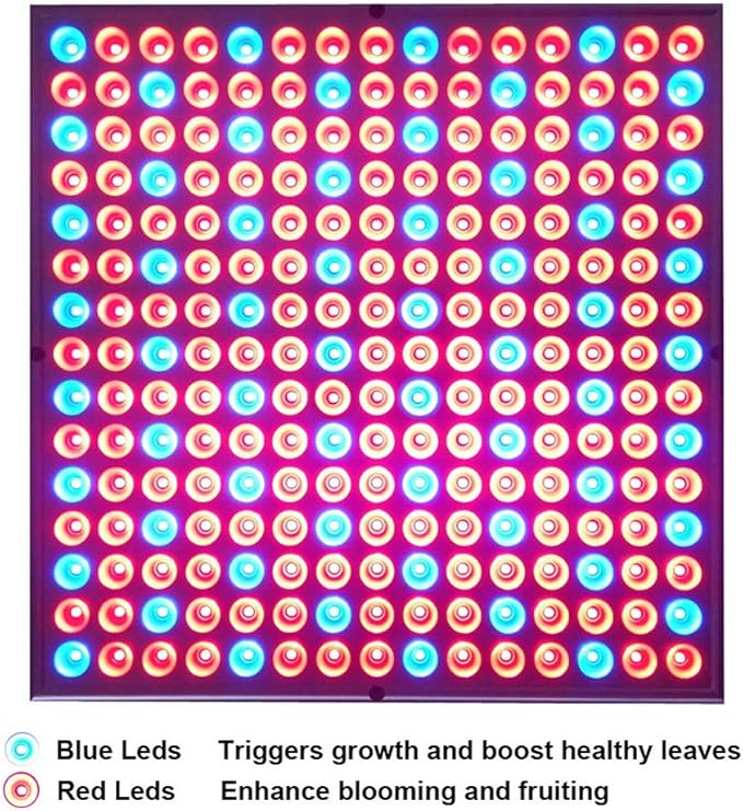 Diboys LED Grow Lights, 75W Growing Lamp Bulbs for Indoor Plants, Red Blue Full Spectrum Plant Light for Seedling, Gardening, Hydroponics, Greenhouse