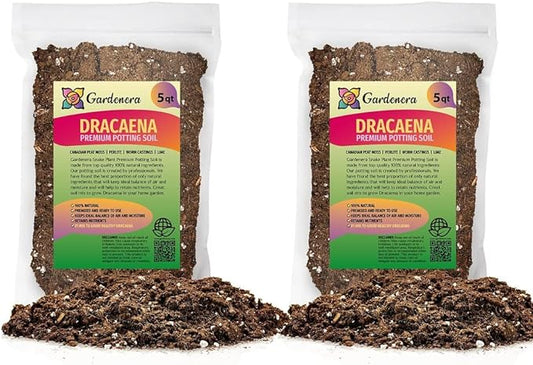 Premium Dracaena Potting Soil Mix - (10 Quart Bag)