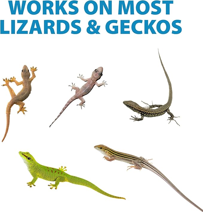Lizard Shoo Spray - Plant-Based Lizard Repellent for Outdoors & Home - Gecko, Skink, & Reptile Deterrent - Gecko Repellent Spray to Keep Lizards Off Porch, Patio, Garden & Driveway