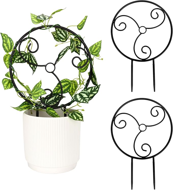 2 Pcs Small Indoor Metal Garden Plant Trellis for Climbing House Pot Plants, Black (Style F)