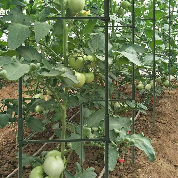 3 Package up to 48in Tomato cage Garden Grid Plant Support Posts with Adjustable Tomato cage Vegetable Grid (3pack)