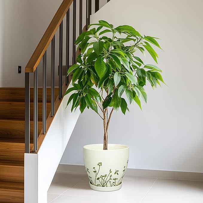 Ceramic Pot for Plants 10 Inch - Indoor Planter for Plants with Drainage Hole and Saucer, Decorative Boho Round Planter, Gardening Gifts for Women Men, Office Home Garden Decor, White