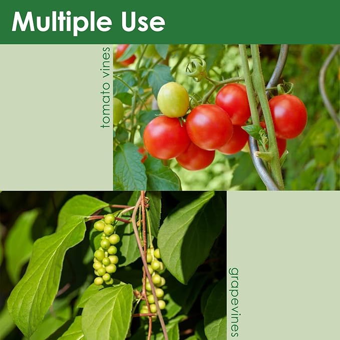 Soft Plant Tie Garden Plant Twist Tie TPR Plant Supply, for Supporting and Fixing Garden Planting Branches Vines, Stems, for Garden, Office, Home Organizing (65.6ft /3.5mm Diameter, Green)