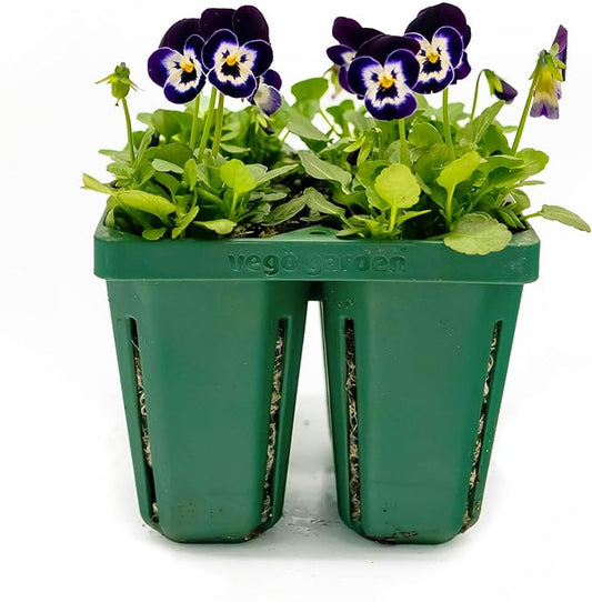 Vego garden Jumbo Seedling Trays Without Lids, 8 Pack Reusable Propagator Growing Starter Tray for Larger Plants, Heavy-Duty Plastic Germination Trays (4-Cell per Tray)