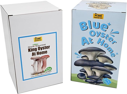 Two Mushroom Grow Kits, 3Lb Each (King Oyster & Blue Oyster)