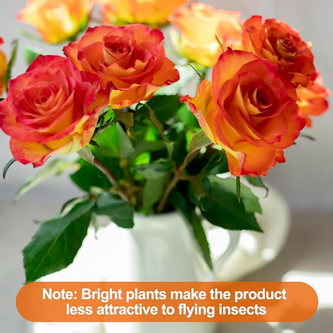 24PCS Fruit Fly Sticky Traps, Fungus Gnat Traps Insect Trap for Plants Kitchen Indoor and Outdoor（24 Light Yellow）