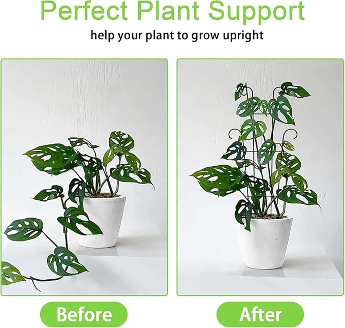 4 Pack 23 Inch Indoor Plant Trellis for Potted Plants - Black Metal Garden Trellis for Climbing Plants, Rustproof Support for Hoya, Pothos, Ivy & Flowers