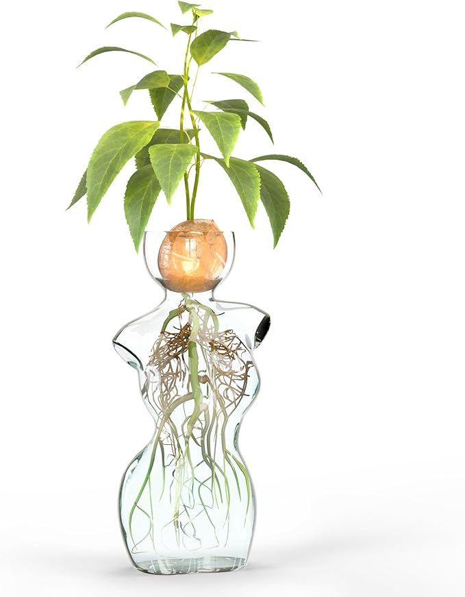 Elegant Female Silhouette Glass Vase by HMC for Plant Propagation and Flower Arrangements - Perfect for Seed Starting, Water Rooting, and Home Decor - Ideal for Avocado, Bulbs, and Plant Cuttings