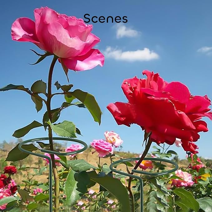 GROWNEER 24 Packs 24 Inches Plant Support Stakes, with 15 Pcs Plant Labels, Garden Single Stem Flower Support Stake, Plant Cage Support Rings for Flowers Amaryllis Orchid Peony Lily Rose