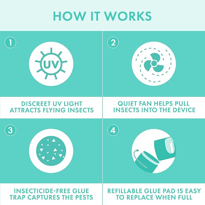 STEM Flying Insect Fan Trap for Indoor Bug Control, Attracts Mosquitoes, Fruit Flies, and House Flies, Plug-in Fan with UV Light, Starter Kit Includes 1 Device and 5 Glue Traps