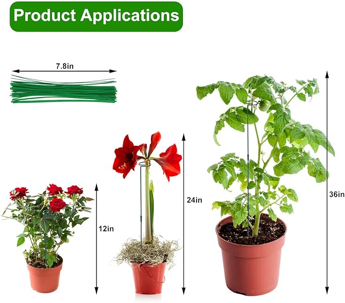 2 Pack (DIY) Plant Support Stakes, Three Sizes (12 or 24 or 36 inch) Plant Support Rings with 20 Pcs Plant Twist Ties, Garden Stake for Indoor Outdoor Plant Flowers, Amaryllis, Tomatoes